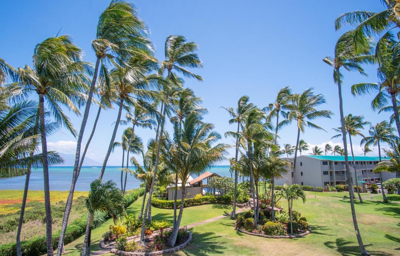 Apartamento Molokai Island Retreat With Beautiful Ocean Views And Pool - Newly Remodeled! Ualapue Exterior foto